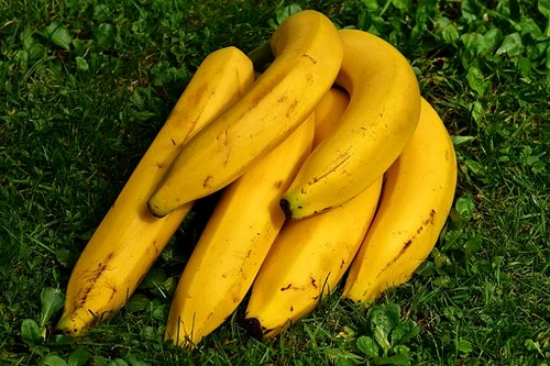 bananas 1642706 340 jpg jpeg