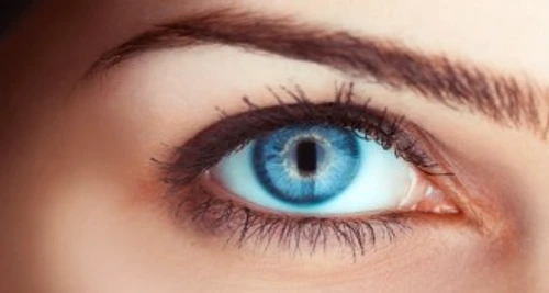 94a0fd36975becd3a749aa90b4d61c21 jpg jpeg