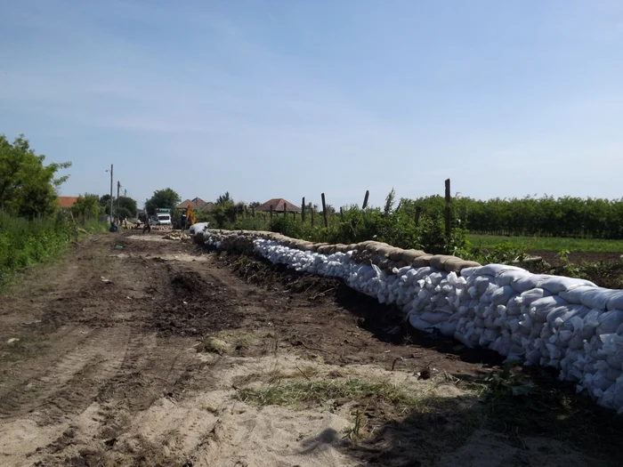 Digul de protecţie cu saci de nisip de la Cozia FOTO Corina Macavei