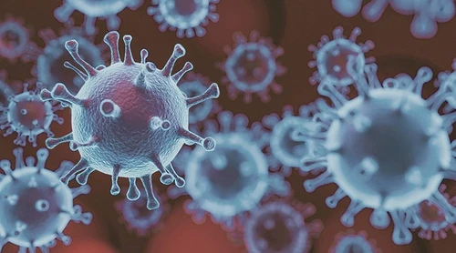 Noi sub-variante Omicron identificate în India