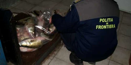 braconieri prinsi de politia de frontiera