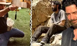 cub cub dan bordeianu animat gif