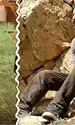 cub cub dan bordeianu animat gif