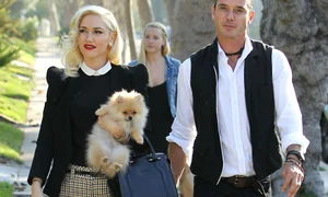 gwen stefani dadaca jpeg