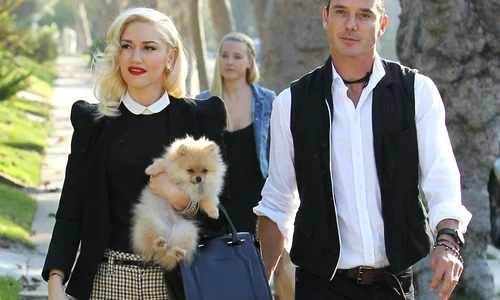 gwen stefani dadaca jpeg