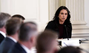 Tulsi Gabbard foto epa efe jpg