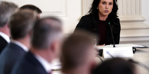 Tulsi Gabbard foto epa efe jpg