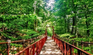 padure parc jpg
