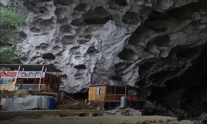 zhongdong china captura video jpg