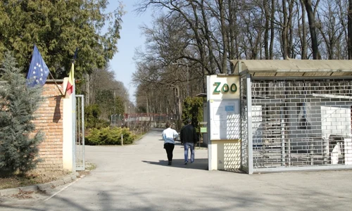 gradina zoologica padurea verde din timisoara 1331 jpeg