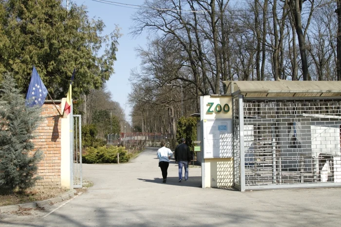 
    Grădina Zoologică din Timișoara, scena unui atac sângeros  