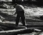 retezat 1963 foto viorel simionescu