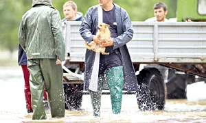 Au fost salvaţi şi câţiva câini speriaţi jpeg