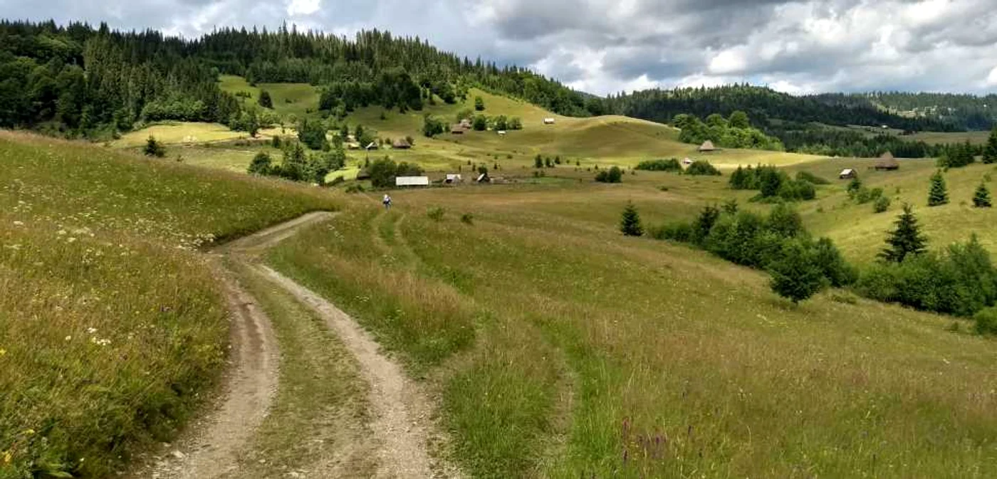Zona spectaculoasă din apropierea Muntelui Mare. Foto: Dorin Ţimonea