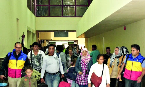 CLIIMA20121121 0072 1 jpeg