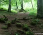 cetatea dacica piatra rosie foto daniel guta adevarul