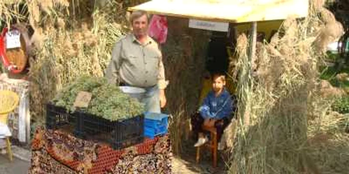 De „Ziua Recoltei”, organizată în centrul Râmnicului, producătorii vor avea gratuit spaţiul de prezentare şi comercializare