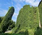 Blocurile Fantomă din Hunedoara  Foto Daniel Guță  ADEVĂRUL (4) jpg