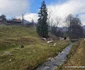 Satul Răscoala din Hunedoara Foto Daniel Guță ADEVĂRUL (3) jpg