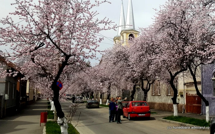 Turiştii opresc pentru a-şi face fotografii pe Strada Revoluţiei. FOTO: Daniel Guţă. ADEVĂRUL.