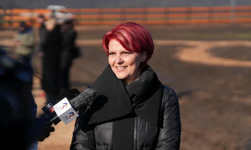 olguta vasilescu jpg
