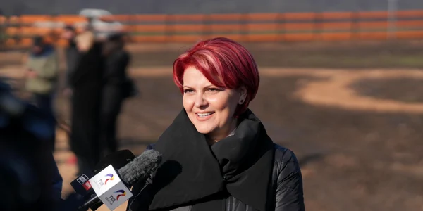 olguta vasilescu jpg