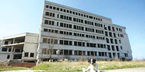 Construcţia de pe Calea Torontalului rămâne abandonată