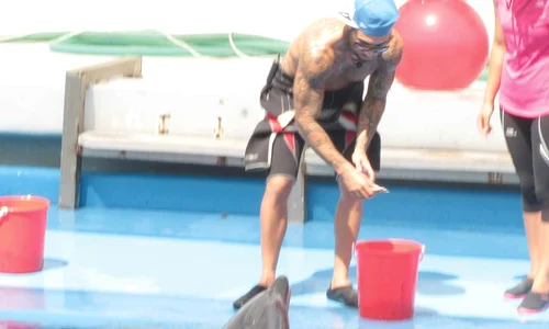 Alex Velea  a hrănit şi s a jucat cu delfinii (Foto: Mariana Iancu) jpeg