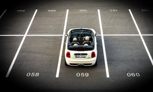 vratislavklega0 mini 1729090 1920 jpg