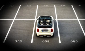 vratislavklega0 mini 1729090 1920 jpg