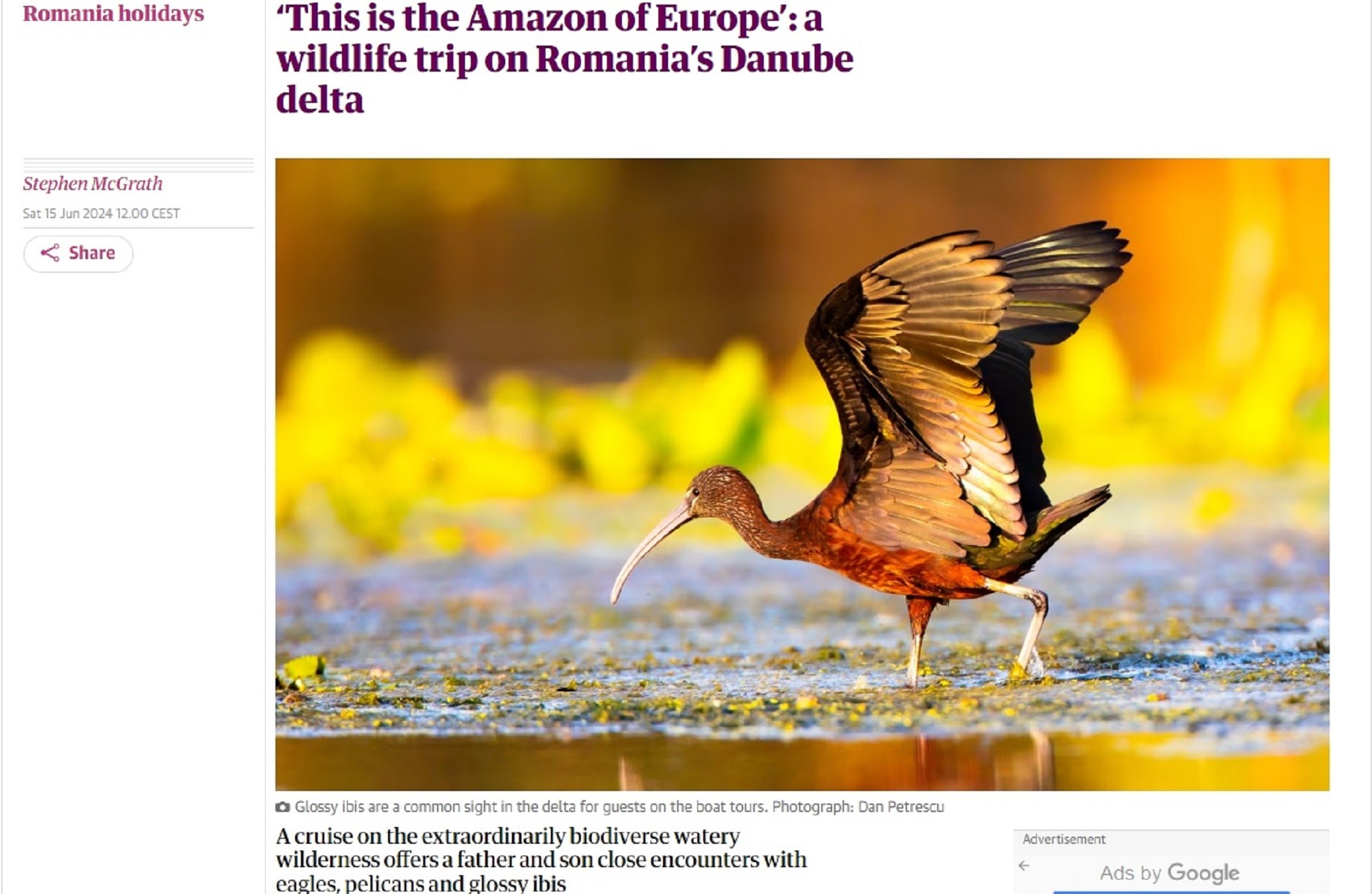 „Amazonul Europei” – un loc mirific din România, din nou în presa internațională „Amazonul Europei” – un loc mirific din România, din nou în presa internațională