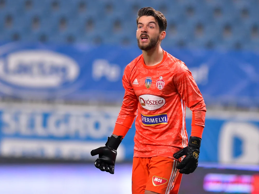 
    Niczuly Roland susține că a fost scuipat și înjurat de circa zece spectatori la OvidiuFoto: sportpictures.eu  
