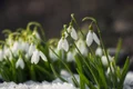 Prognoza meteo 14 februarie 