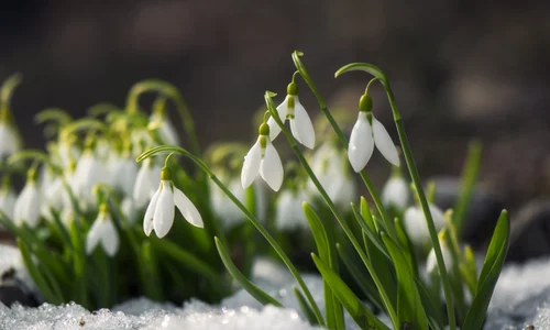 Prognoza meteo 14 februarie 