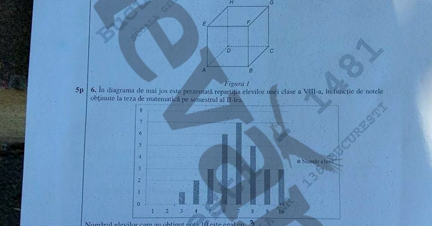 subiecte matematica evaluare nationala 2015
