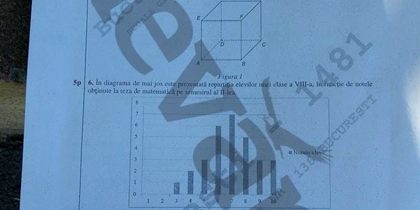 subiecte matematica evaluare nationala 2015