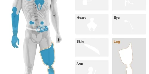 Corpul uman, un puzzle electronic