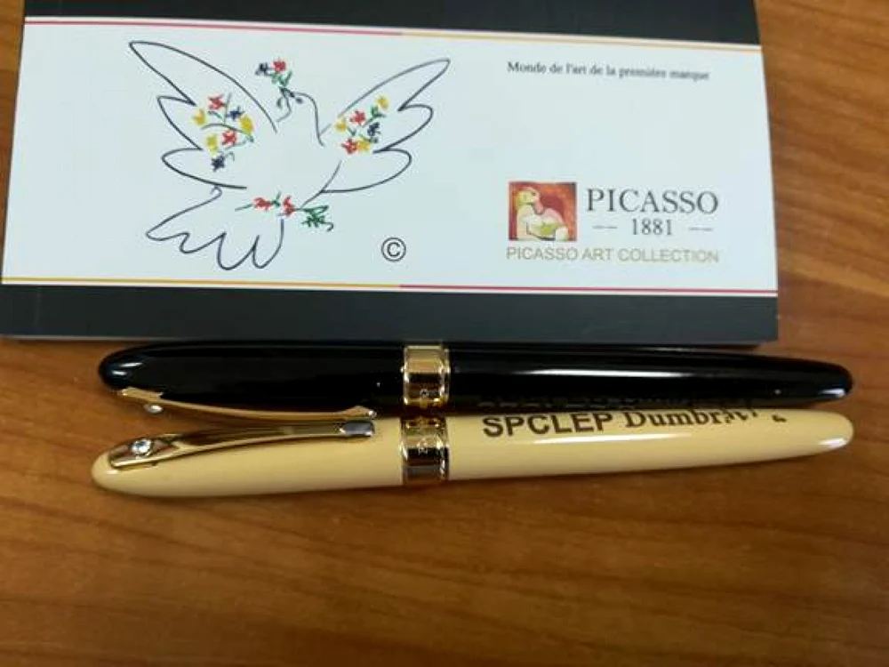 Pixurile cumpărate de Primăria Dumbrăviţa FOTO Primăria Dumbrăviţa