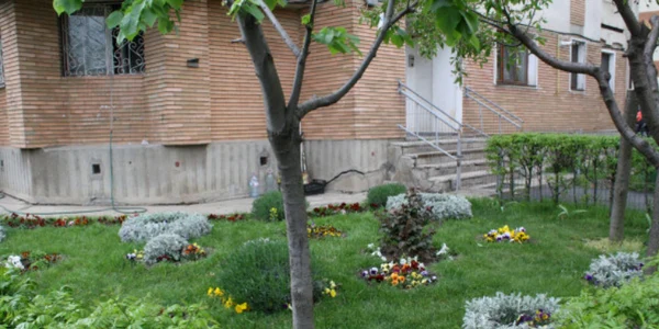 pensionara amendata pt ca a plantat flori Bzb png