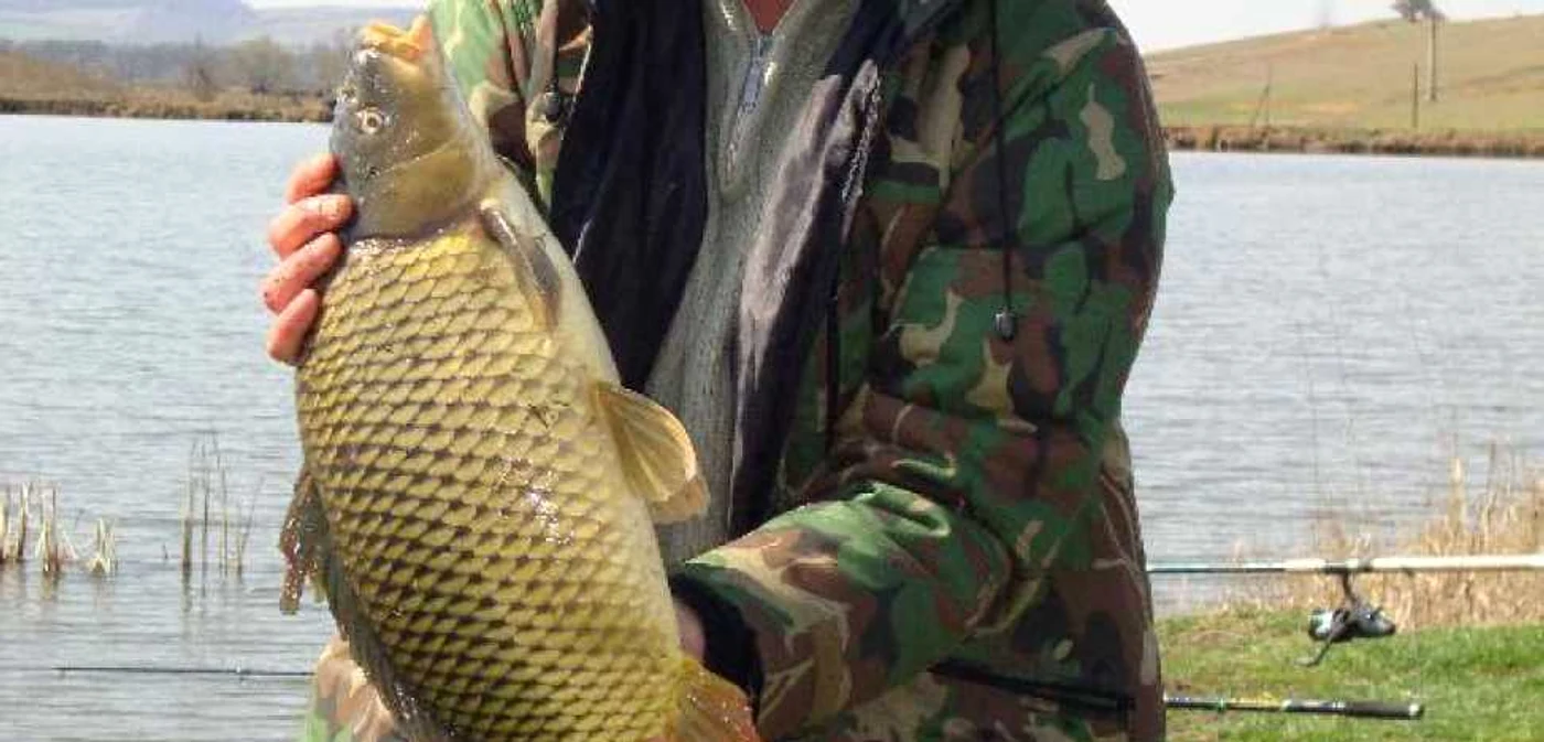 pescuit alba 