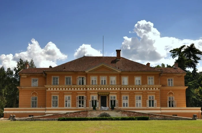 Casa Regala de la Săvârşin