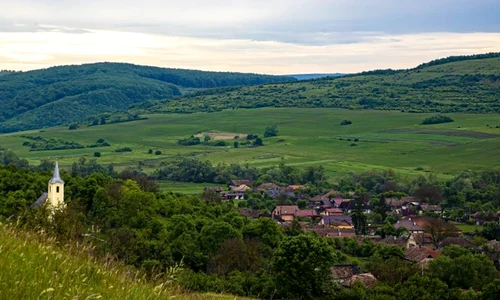 vultureni jpg