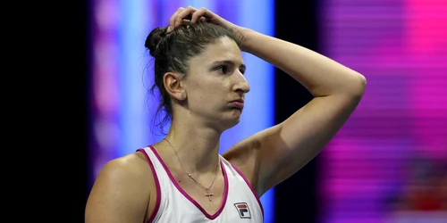 Begu jpg