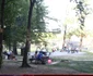 bistrita rock 1