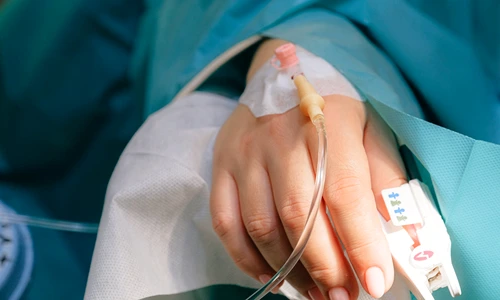 1 pexels photo 3845126 jpg jpeg