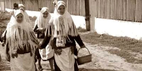 Imagini din arhiva MEAP Tulcea