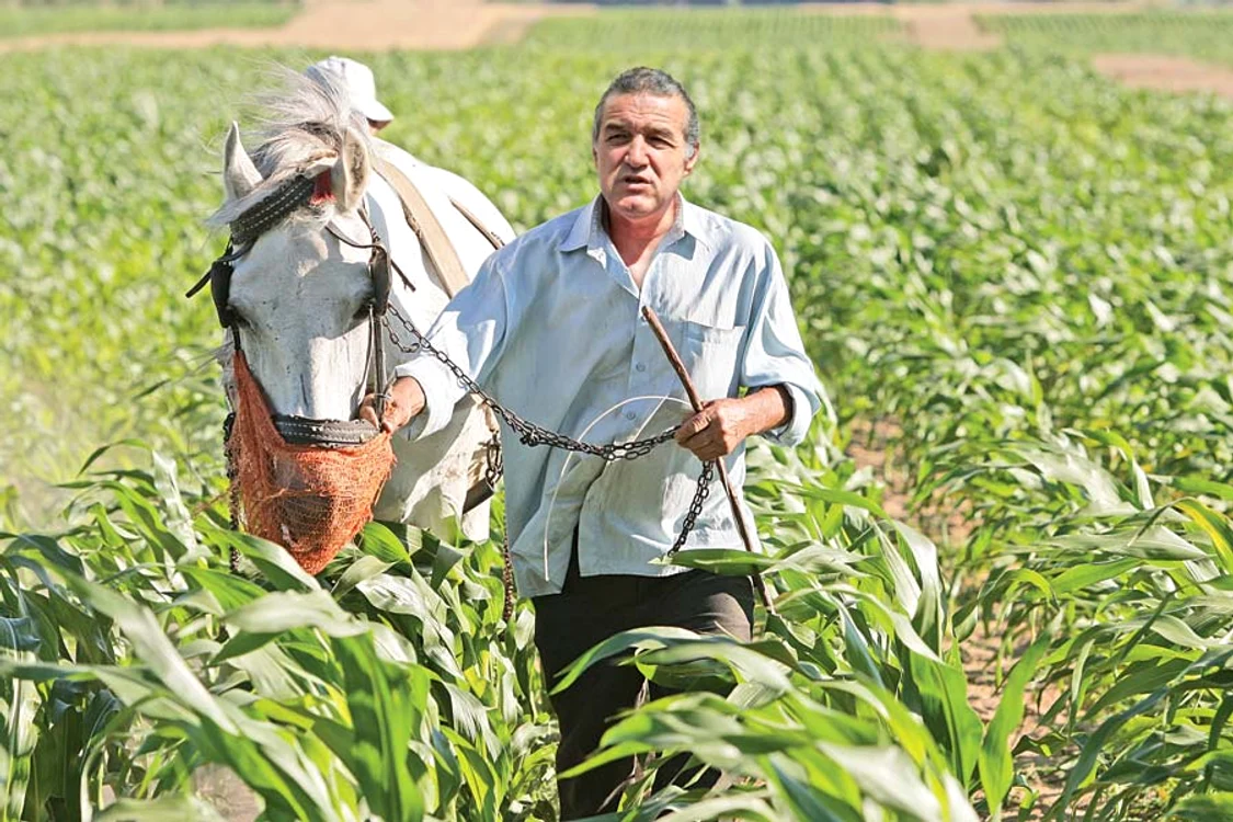 Gigi Becali a dat  cu lopata când  şi-a amenajat trotuarul  din faţa palatului