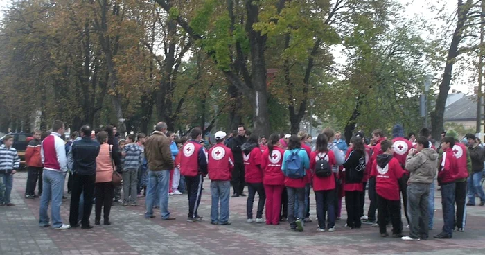 Arad: Pecicanii au adunat opt remorci de hârtie şi PET-uri într-o singură zi