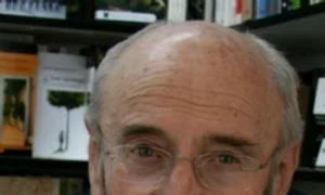 Caracterul şi stilul jpeg