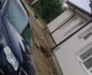 Plan Roşu de Acţiune în Vâlcea în urma unui accident pe DN 67 în care un microbuz cu 14 persoane s-a răsturnat în urma unei coliziuni Foto Adevărul